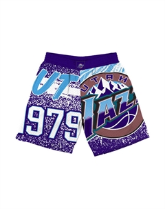 Мужские баскетбольные шорты Mitchell & Ness фиолетовые Mitchell ness