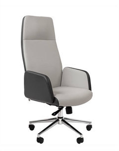 Кресло офисное Chairman 929 7174807 Россия экопремиум серый/светло-серый