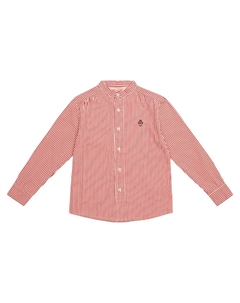 Хлопковая рубашка в тонкую полоску со скорпионом, White Stripes The animals observatory