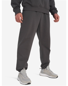 Брюки мужские Expedition Celebration, Серый The north face