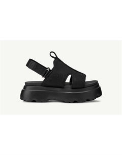 Женские сандалии Celeste в черном цвете Ugg