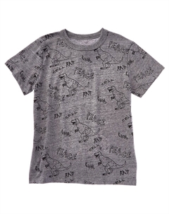 Футболка Dinosaurs, серый Chaser