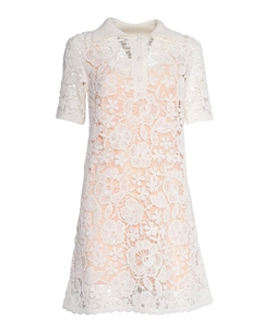 Короткое платье с кружевной накладкой и воротником-поло, Neutrals Parosh