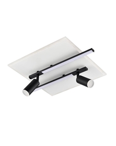 Потолочный светильник Ledio Stells 8256/40CL Lumion