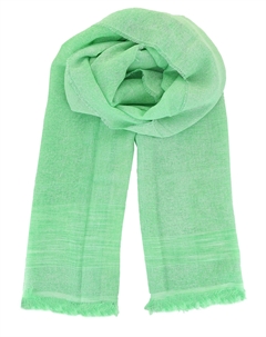 Палантин Fabiana filippi