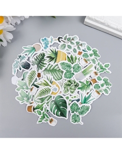 Наклейки для творчества Nobrand