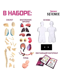 Набор для опытов Эврики