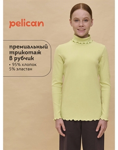 Джемпер Pelican