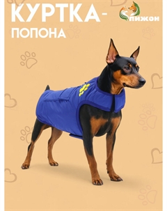 Куртка - попона двусторонняя, размер xl (дс 40, ог 54 см, вес 11-19 кг), синяя Пижон