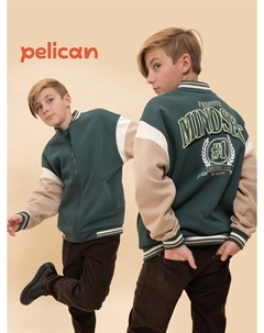 Толстовка Pelican