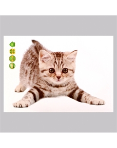 Интерьерная наклейка 3д Take it easy