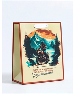 Пакет подарочный вертикальный Upak land