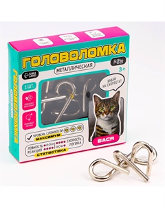 Головоломка металлическая Puzzle