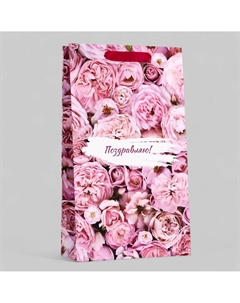 Пакет подарочный ламинированный под две бутылки Upak land