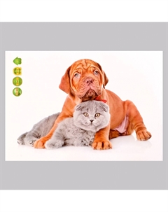 Интерьерная наклейка 3д Take it easy