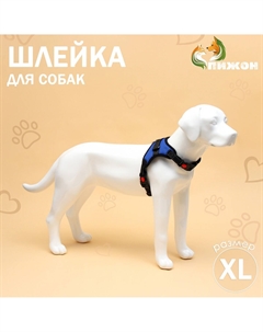Шлейка к7 мягкая светоотражающая, размер xl, ог 74-92 см, вес 28-47.5 кг, синяя Пижон