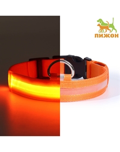 Ошейник с подсветкой размер xl, ош 52-60×2.5 см, 3 режима свечения оранжевый Пижон