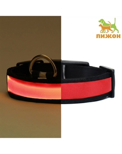 Ошейник с подсветкой flash 3 режима свечения, размер s, ош 35-43×2.5 см красный Пижон