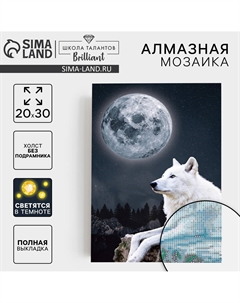 Алмазная мозаика с полным заполнением со светящимися стразами на холсте Школа талантов