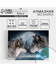 Алмазная мозаика с полным заполнением на холсте Школа талантов