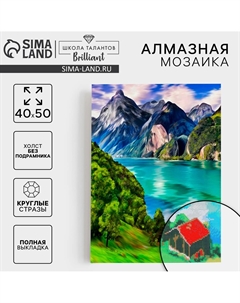 Алмазная мозаика с полным заполнением на холсте Школа талантов