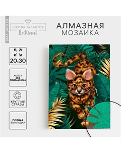 Алмазная мозаика с полным заполнением на холсте Школа талантов