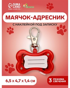 Маячок-адресник Пижон