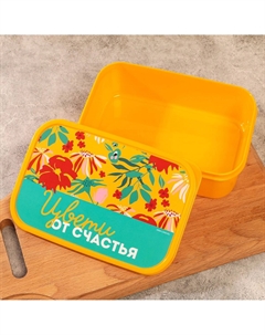 Ланч - бокс прямоугольный Foodvibes