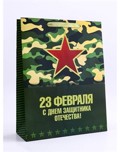 Пакет подарочный вертикальный Upak land