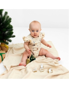 Боди Крошка я