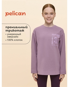 Джемпер Pelican