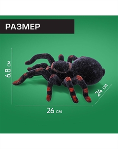 Паук радиоуправляемый Woow toys