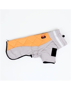 Куртка для больших собак, мембрана, 3xl (дс 50, ош 49, ог 69 см), серо-оранжевая Пижон