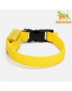 Ошейник светящийся узкий для небольших собак, 26×1.5 см, желтый Пижон