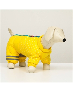 Комбинезон для собак Пижон