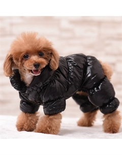 Комбинезон Пижон