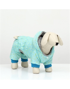 Комбинезон Пижон