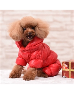 Комбинезон Пижон