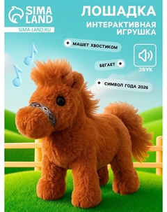 Интерактивная игрушка Nobrand