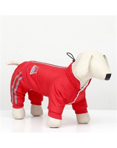 Комбинезон Пижон