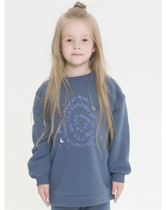 Толстовка Pelican