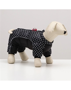 Комбинезон для собак Пижон