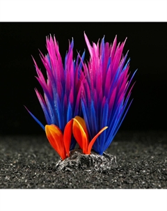 Растение для аквариума и террариума, 18×10×11.5 см, красно-фиолетовый Пижон аква