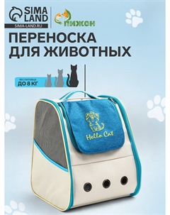 Рюкзак для переноски кошек и собак, прозрачный, 32×28×38 см, бело-синий Пижон