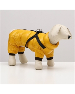 Комбинезон для собак со шлейкой Пижон