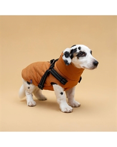 Куртка для собак со шлейкой, размер m (дс 30, ог 40, ош 30 см), горчичная Пижон