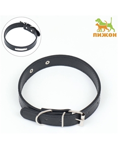 Ошейник из искусственной кожи с шильдом под гравировку, 2,5 х 52 см, ош 35-45 см, черный Пижон