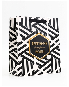 Пакет подарочный вертикальный Upak land