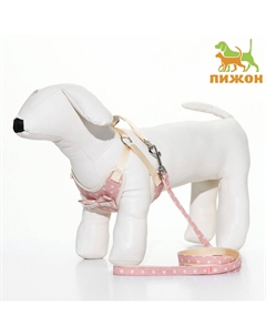 Шлейка с поводком Пижон