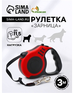 Рулетка Пижон